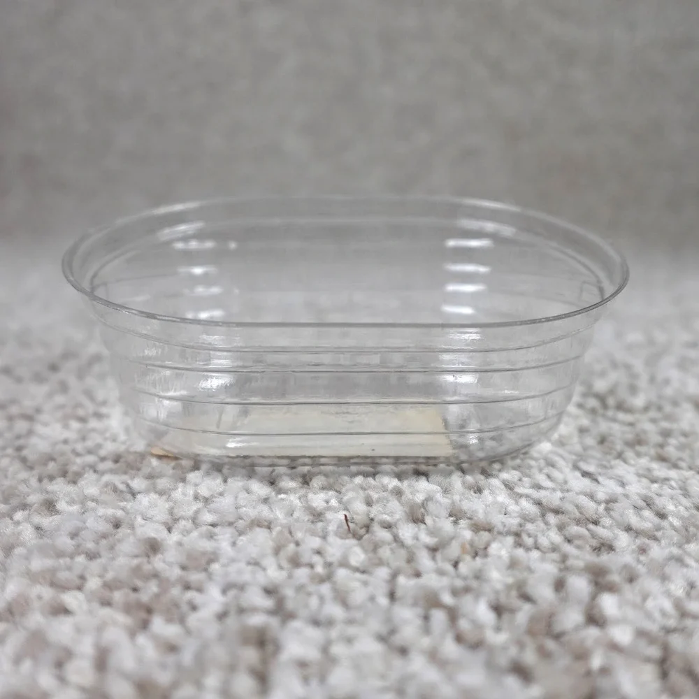 Longaberger 2002 Lucky Charm Basket Protector 44873 Clear Plastic Insert USA